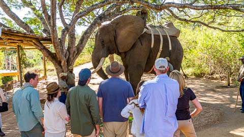 Activities & Adventures close to Sanbonani Resort