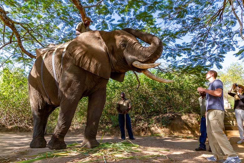 Sanbonani Hotel, Resport & Spa